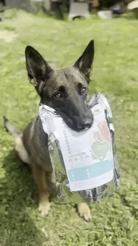 PupiFresh drėgnos pirštinės šunims ir katėms